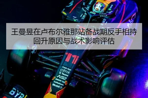 wang-man-yu-zai-lu-bu-er-ya-na-zhan-bei-zhan-qi-fan-shou-xiang-chi-hui-sheng-yuan-yin-yu-zhan-shu-ying-xiang-ping-gu-2-455.jpg